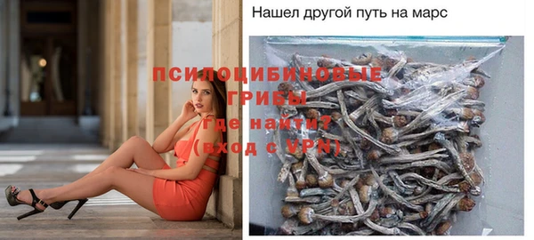 дживик Кулебаки
